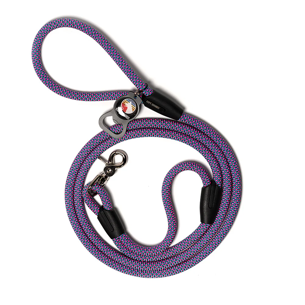 Urban Handle Dog Leash - Pinks/Purples