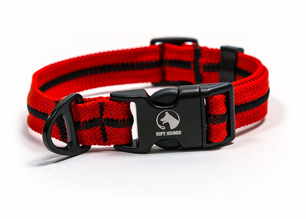 Fi Compatible Collar Band - Reds/Oranges