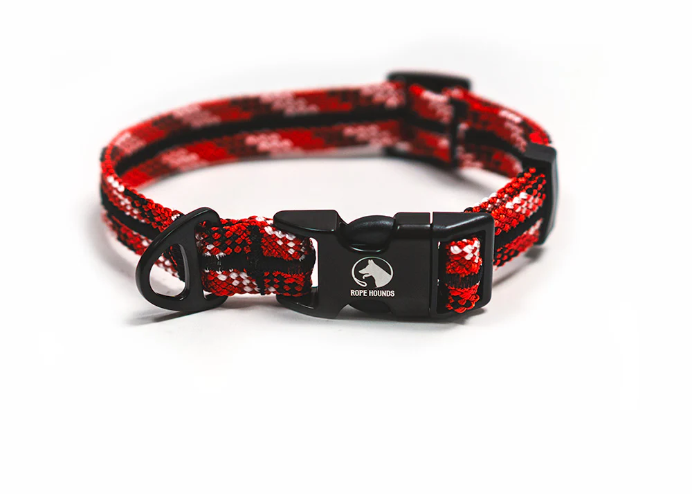 Fi Compatible Collar Band - Reds/Oranges