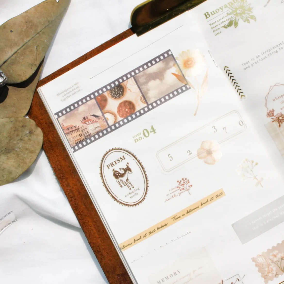 Mind Wave Film Series Clear Tape Ivory