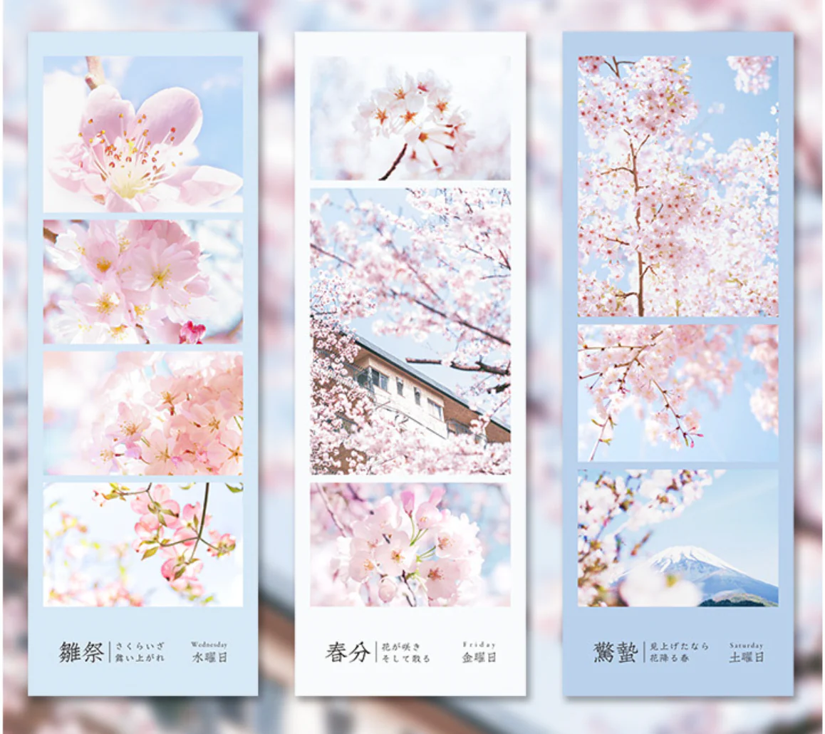 Spring Cherry Blossom Hanami Stickers