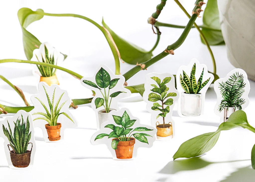 House Plant Stickers