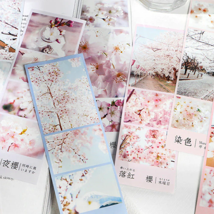 Spring Cherry Blossom Hanami Stickers