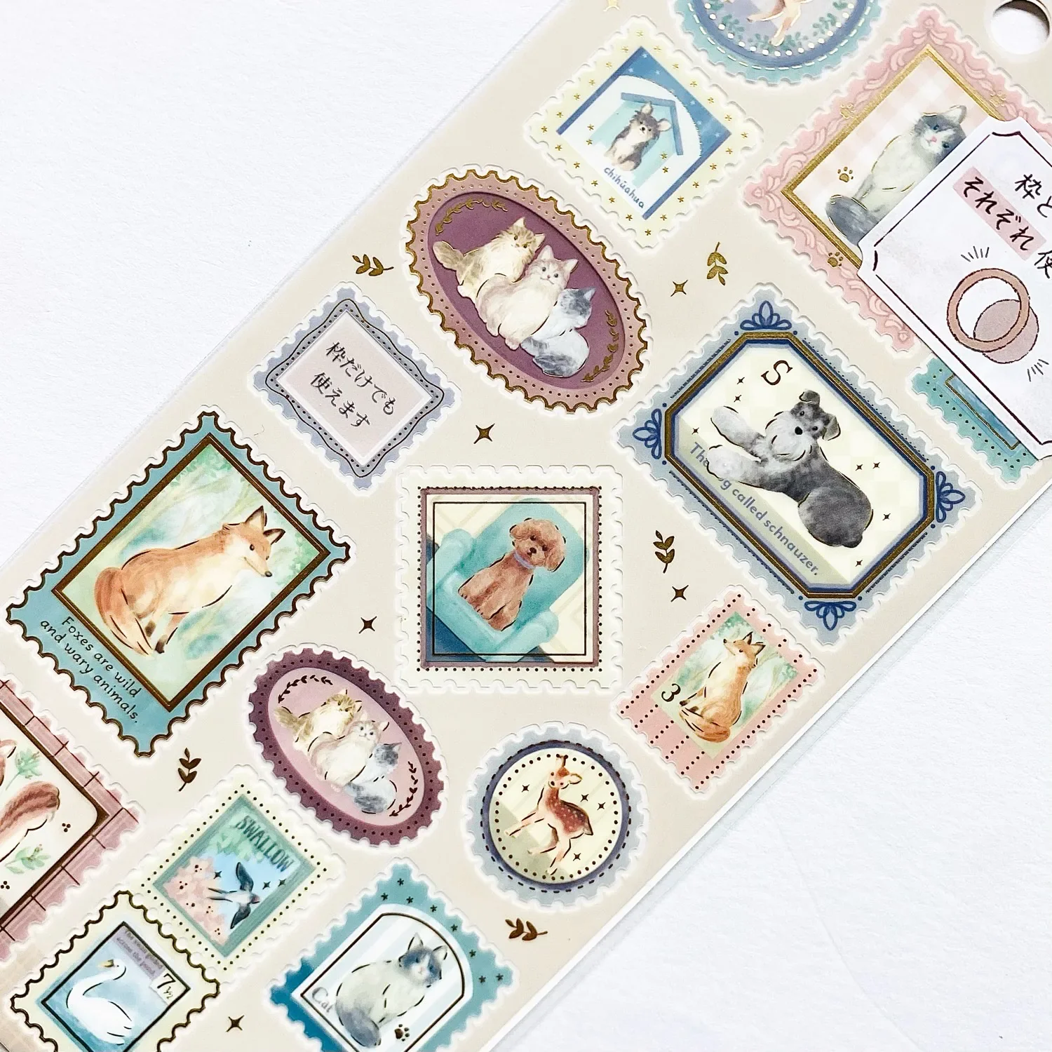 Enchanted Frame Decor Stickers