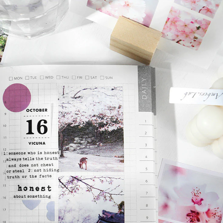 Spring Cherry Blossom Hanami Stickers