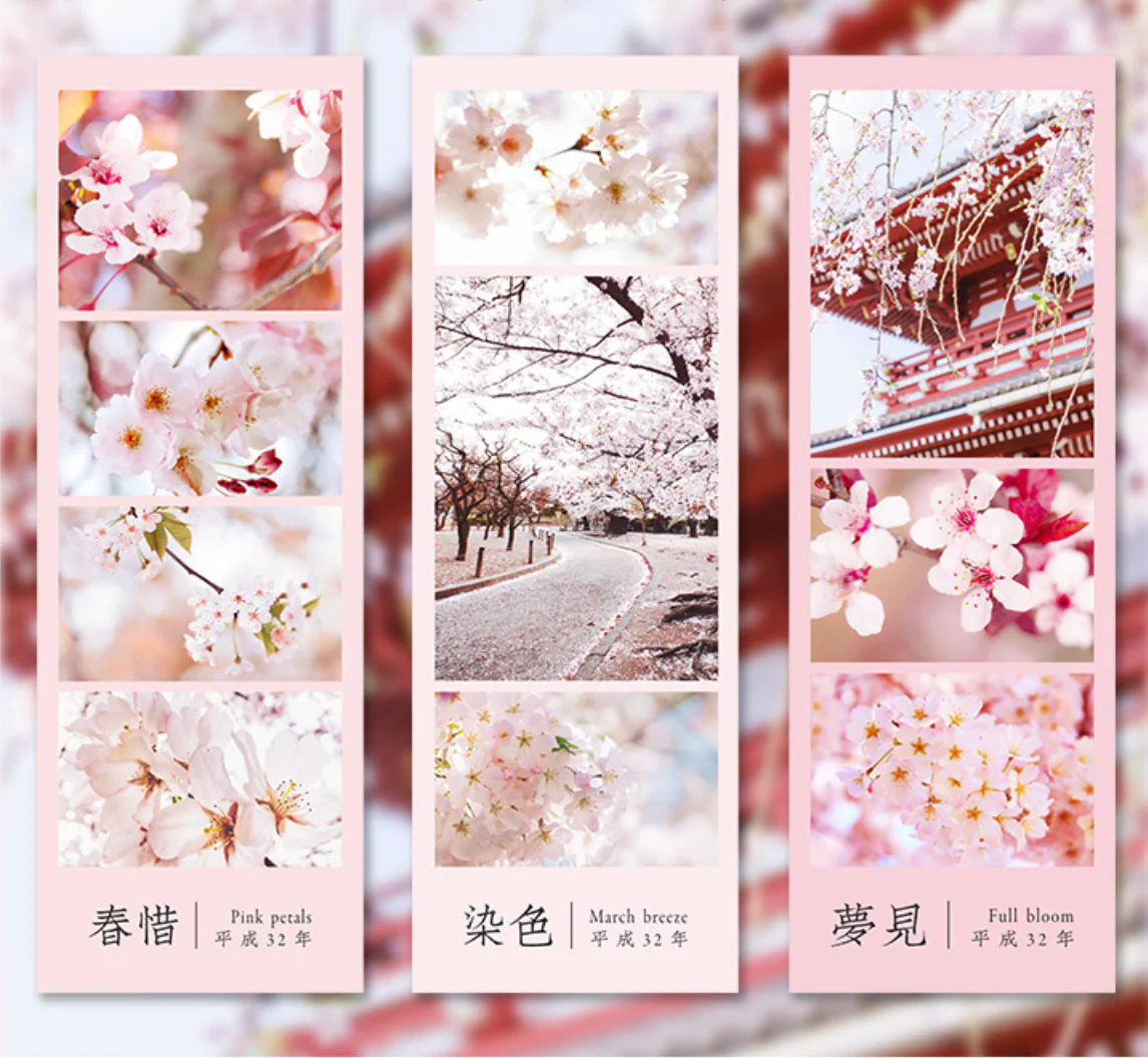 Spring Cherry Blossom Hanami Stickers