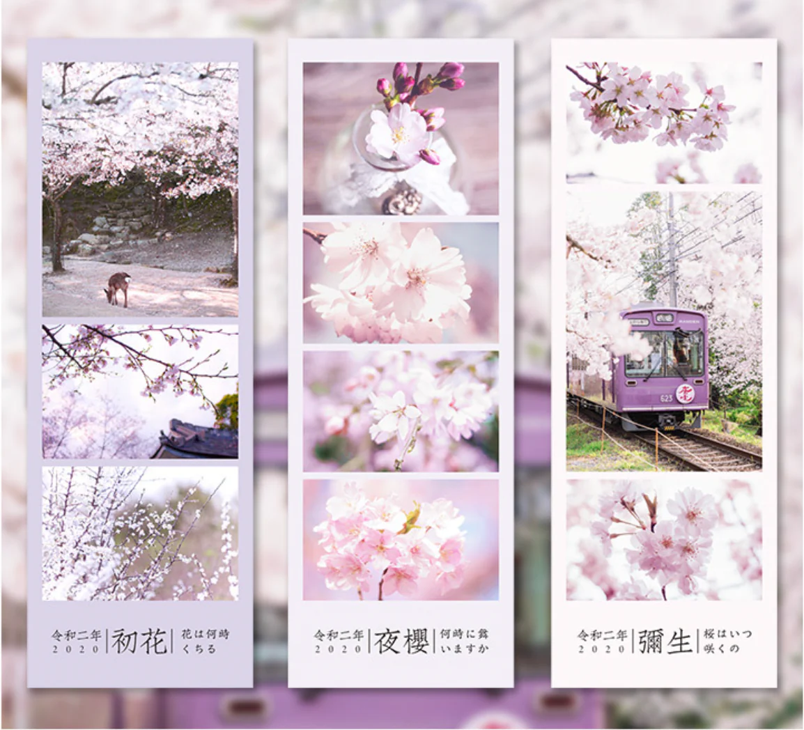 Spring Cherry Blossom Hanami Stickers