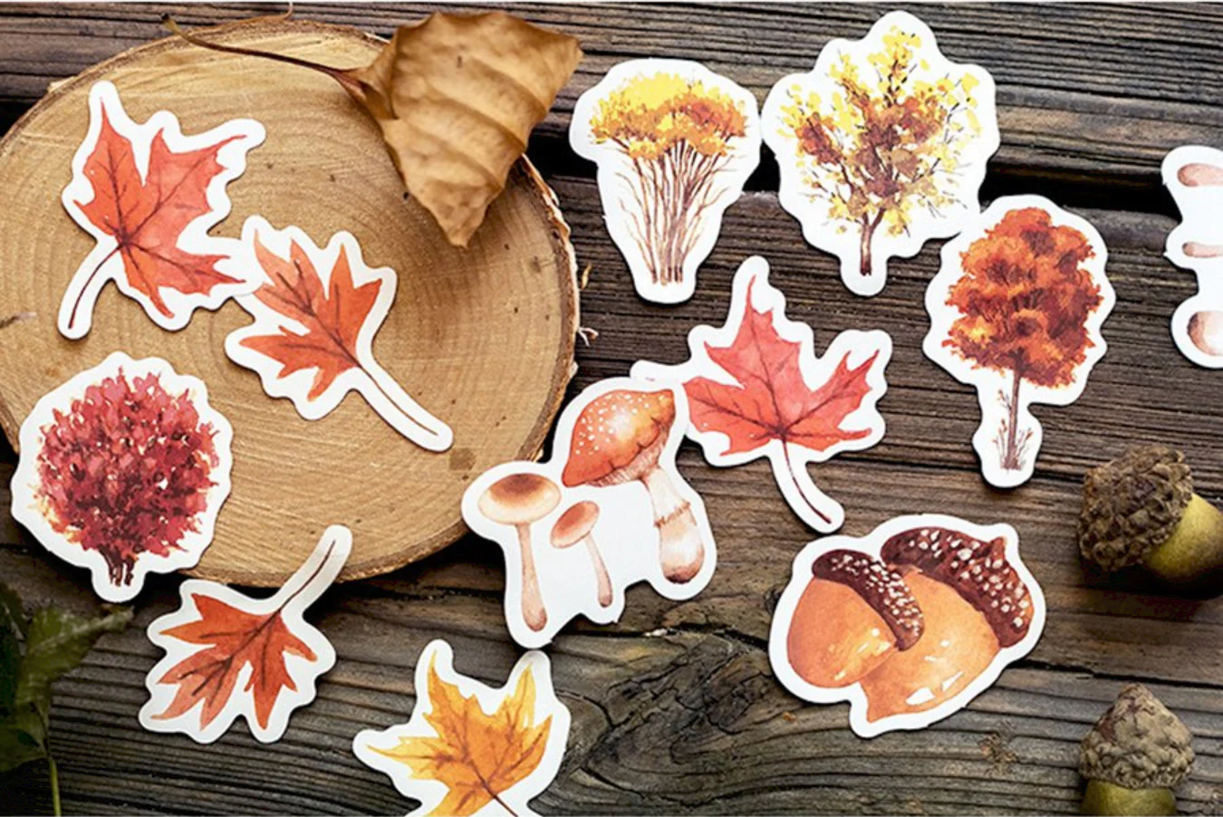 Autumn Forest Stickers