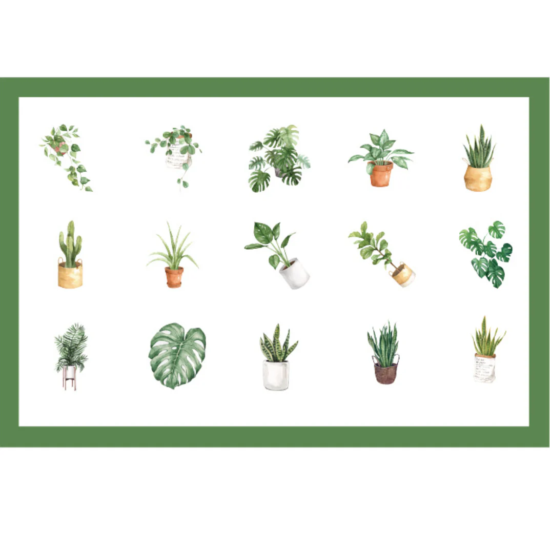 House Plant Stickers