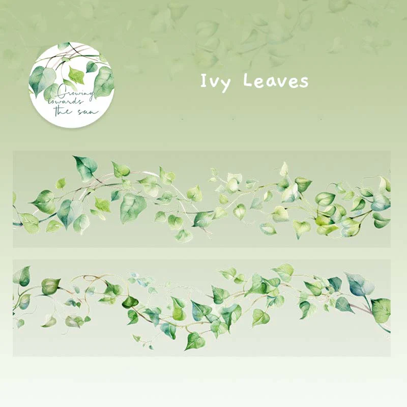 Floral Pattern Clear Masking Tapes