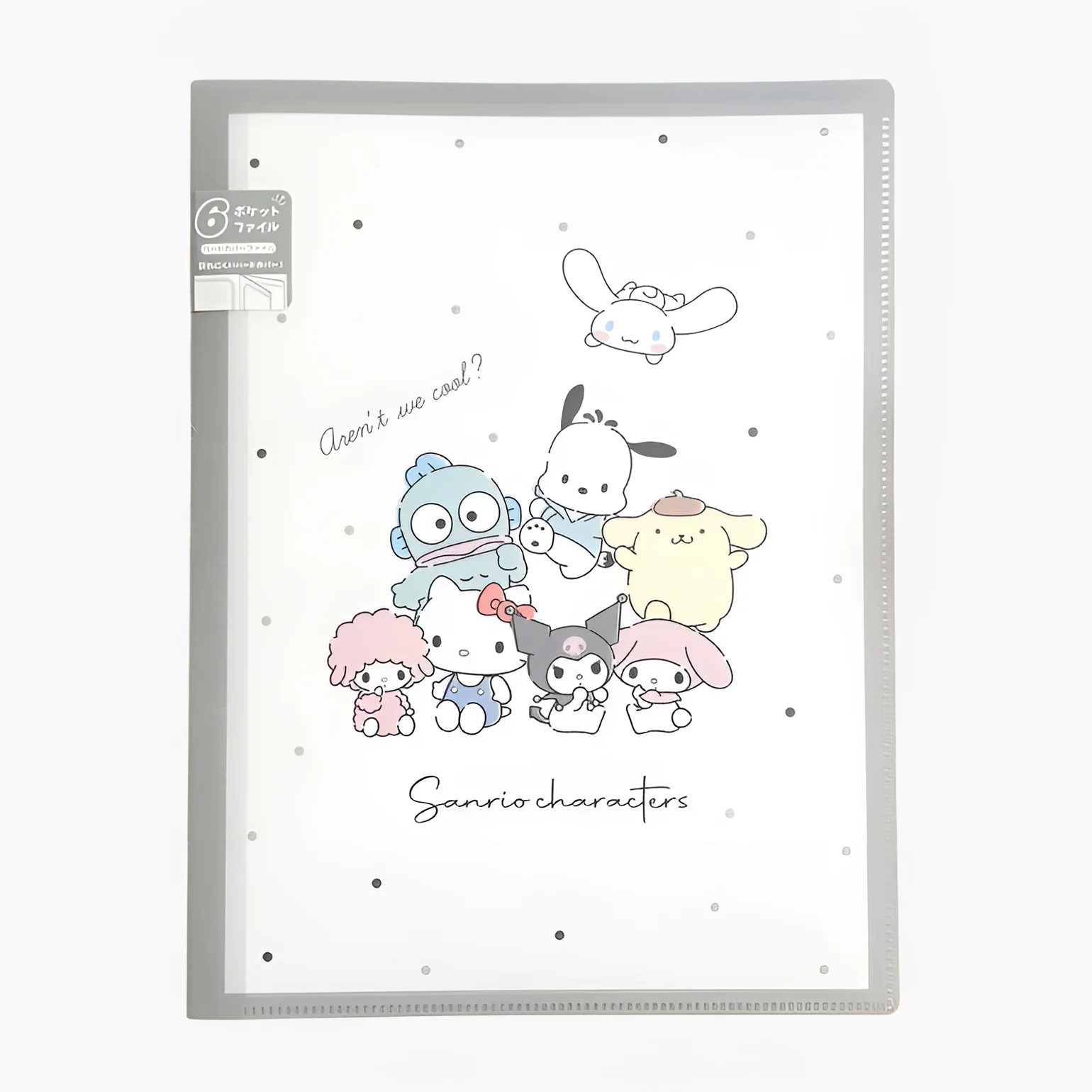 Sanrio Characters A4 Clear Book