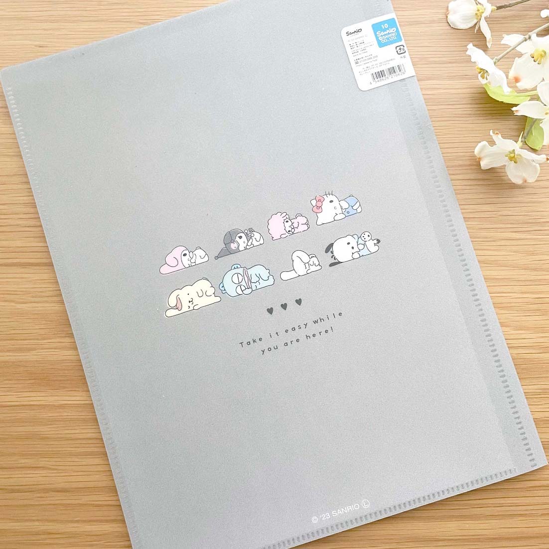 Sanrio Characters A4 Clear Book