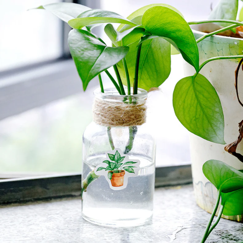 House Plant Stickers