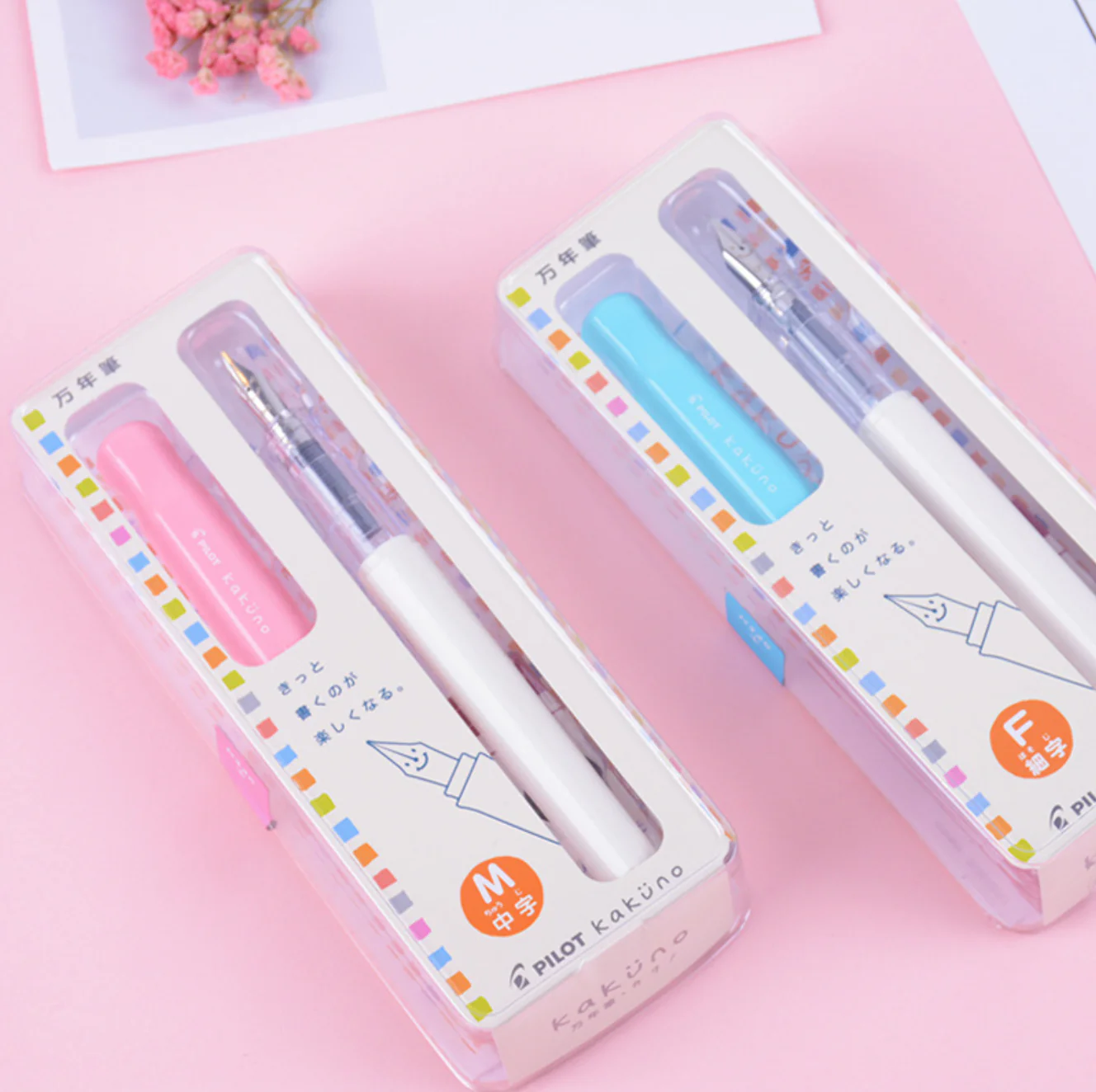 Pilot Kakuno Fountain Pen