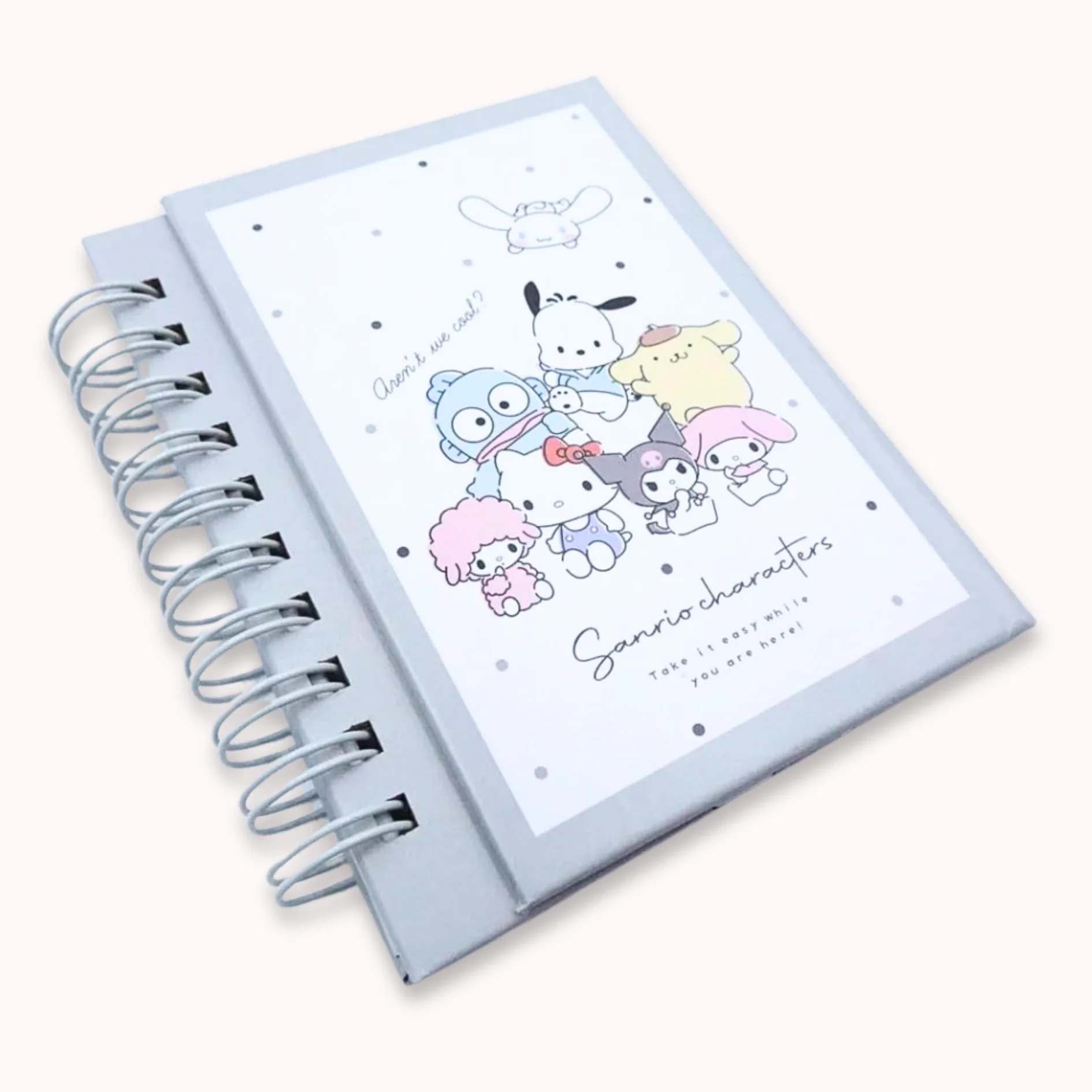 Sanrio Characters Hardcover Spiral Notebook