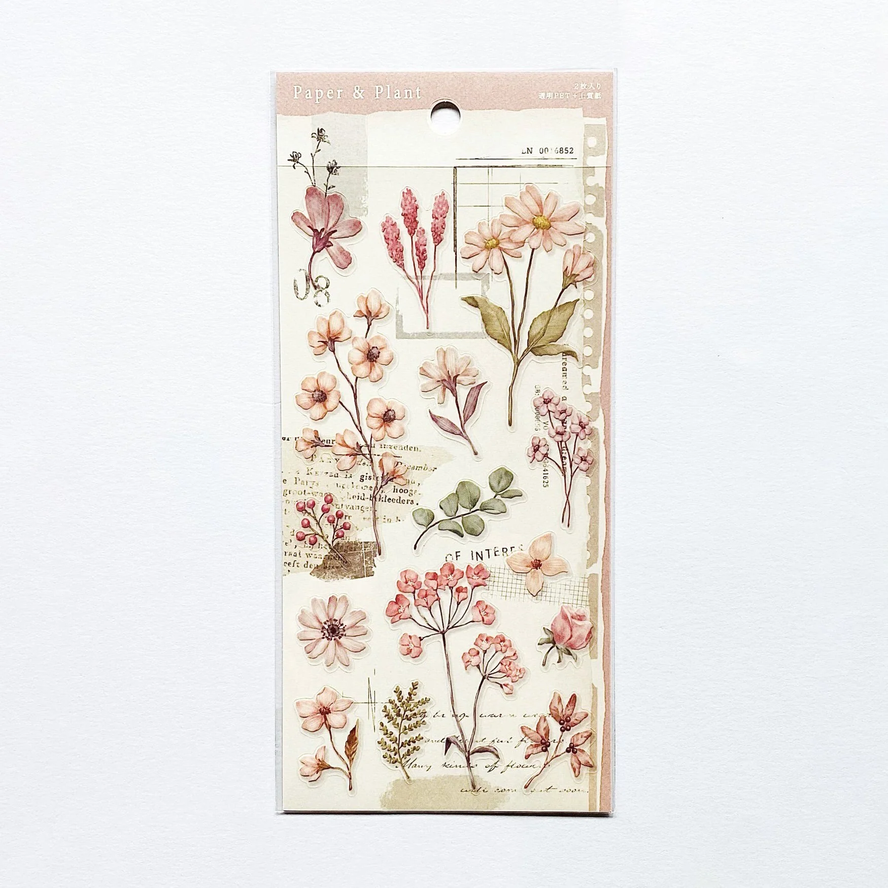 Mind Wave Paper & Plant Stickers