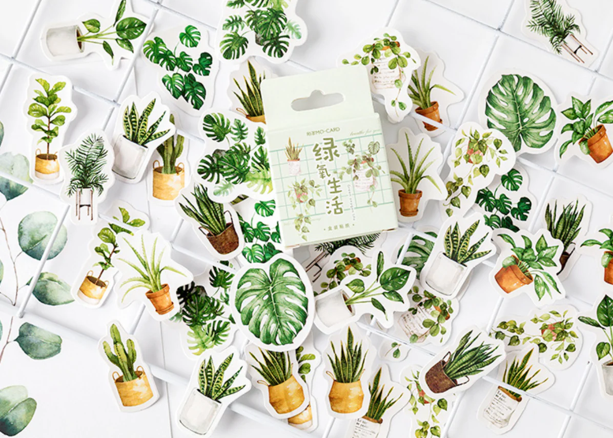 House Plant Stickers