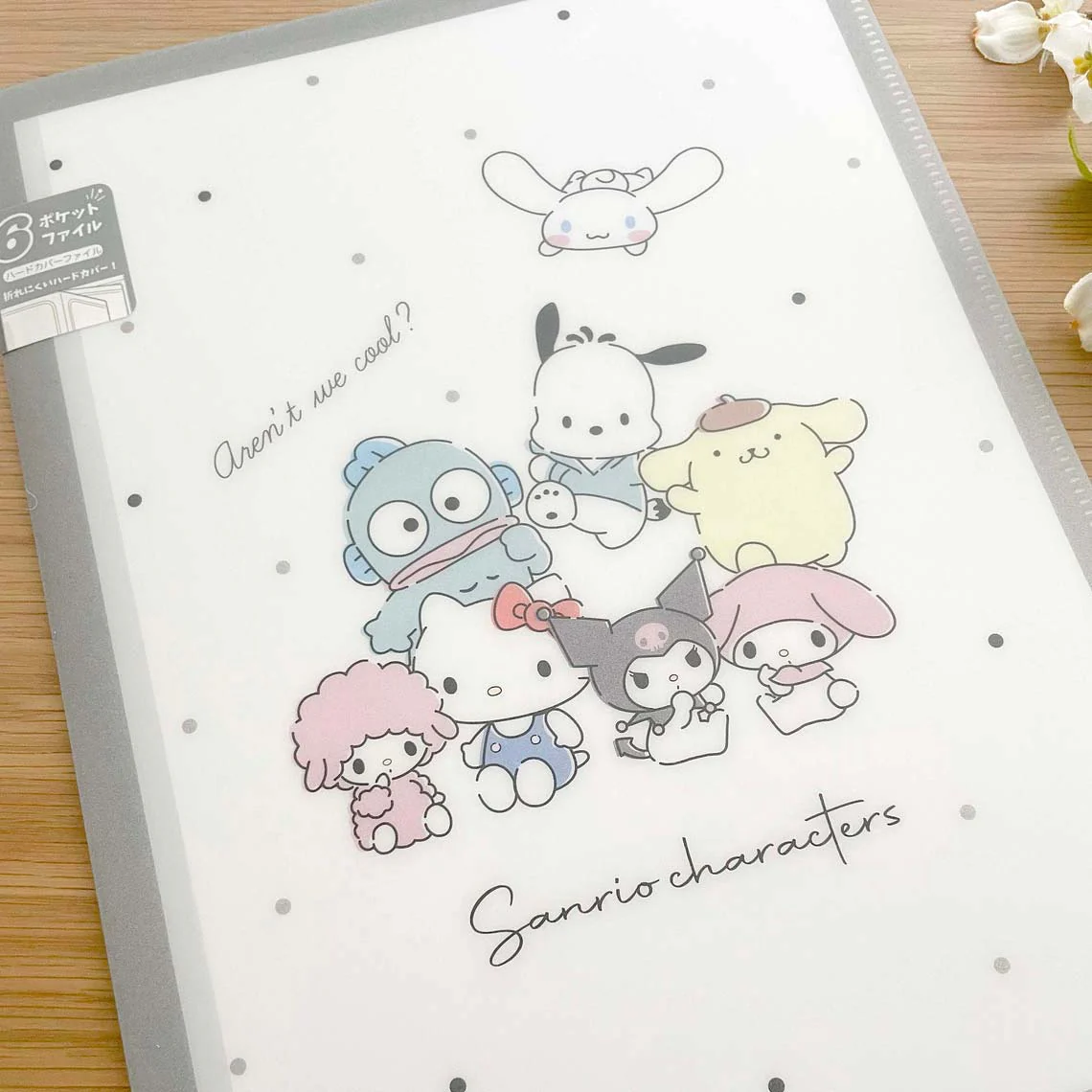 Sanrio Characters A4 Clear Book