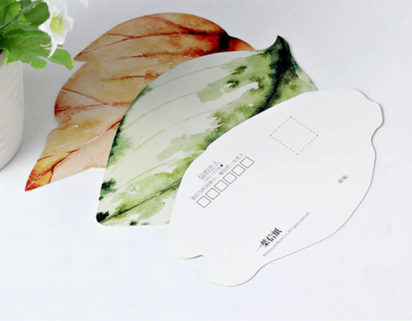 Leaf Design Greeting Cards Set of 30