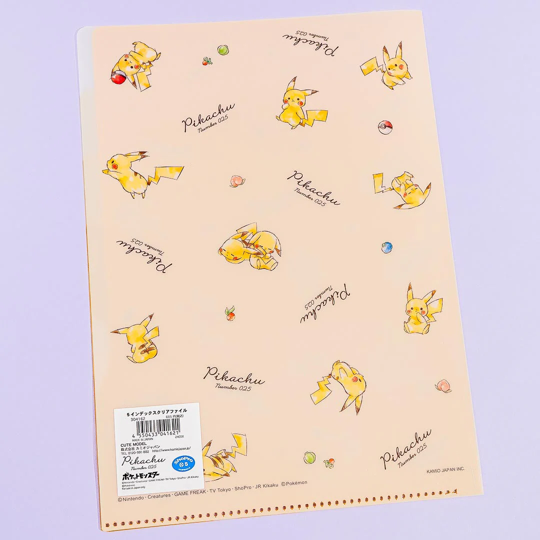 Folder with Dividers 205