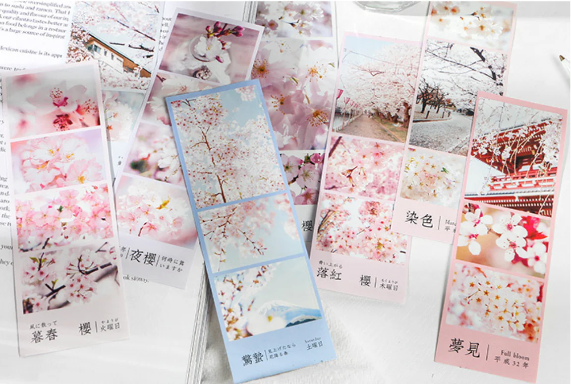 Spring Cherry Blossom Hanami Stickers