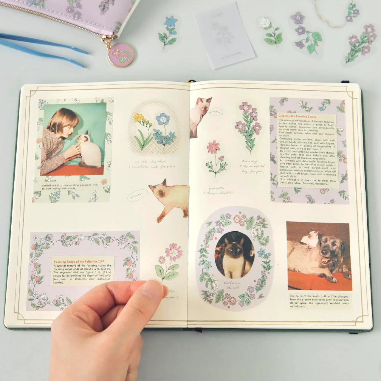 Ryu Ryu Lucy's Basket Decorative Paper Set