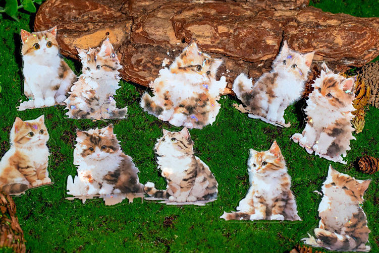 Blossom Animal Delight Holo Stickers