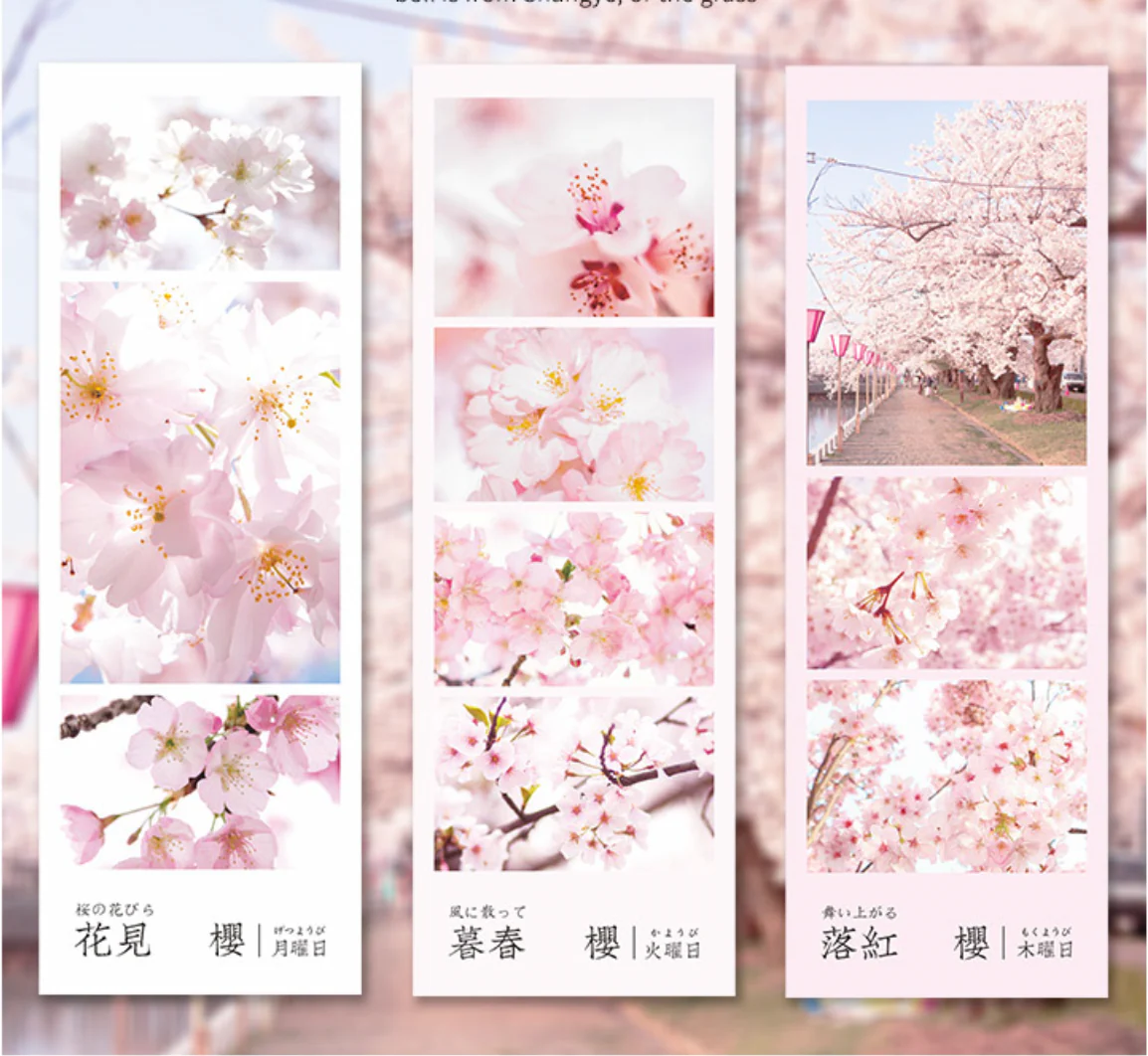 Spring Cherry Blossom Hanami Stickers