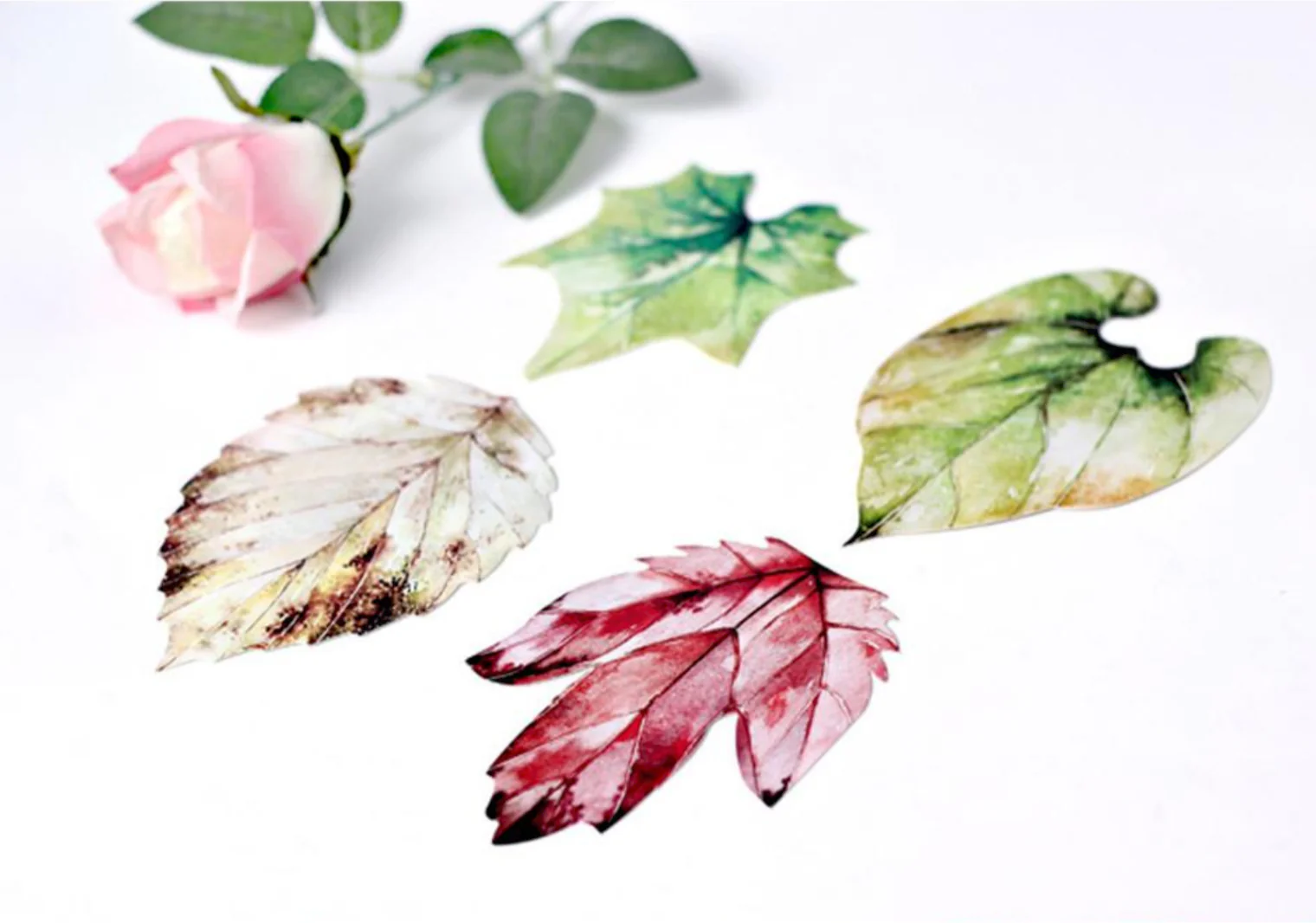 Leaf Design Greeting Cards Set of 30
