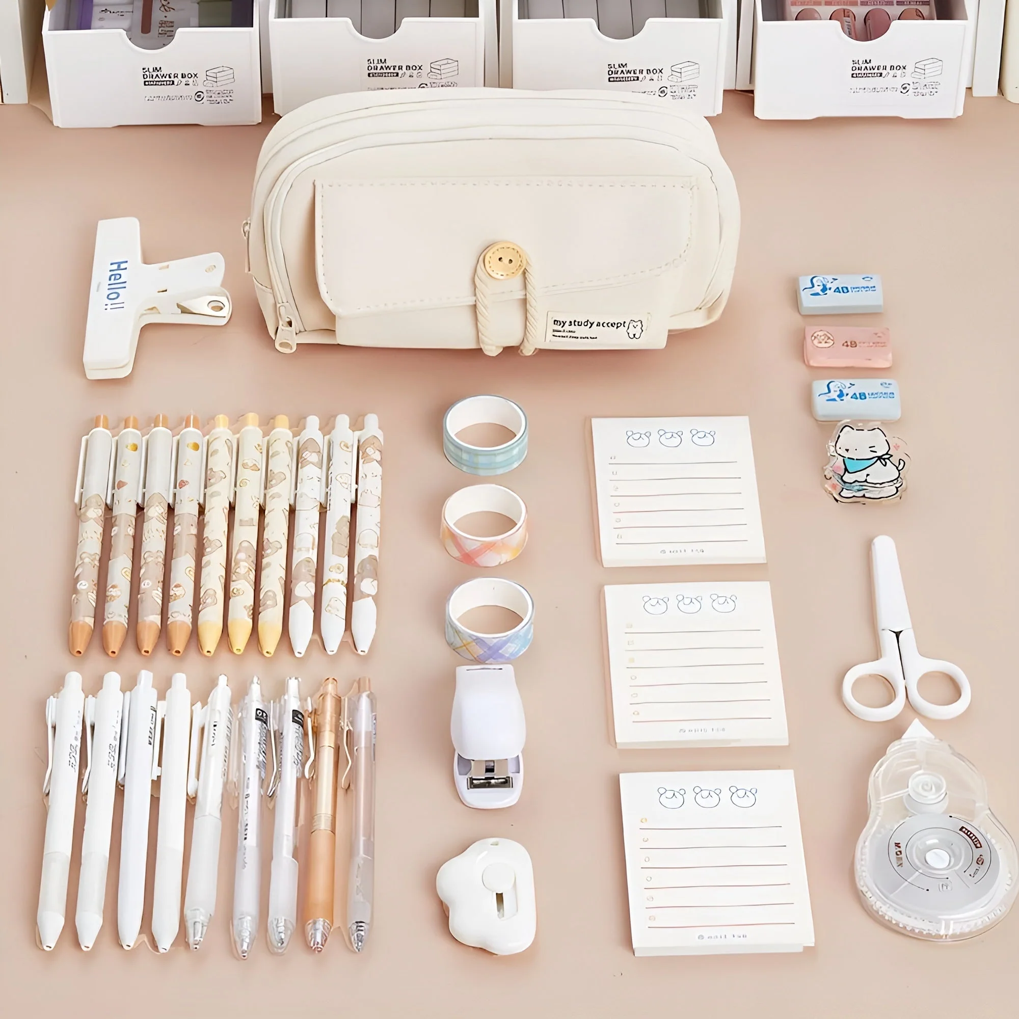 Study Organizer Case