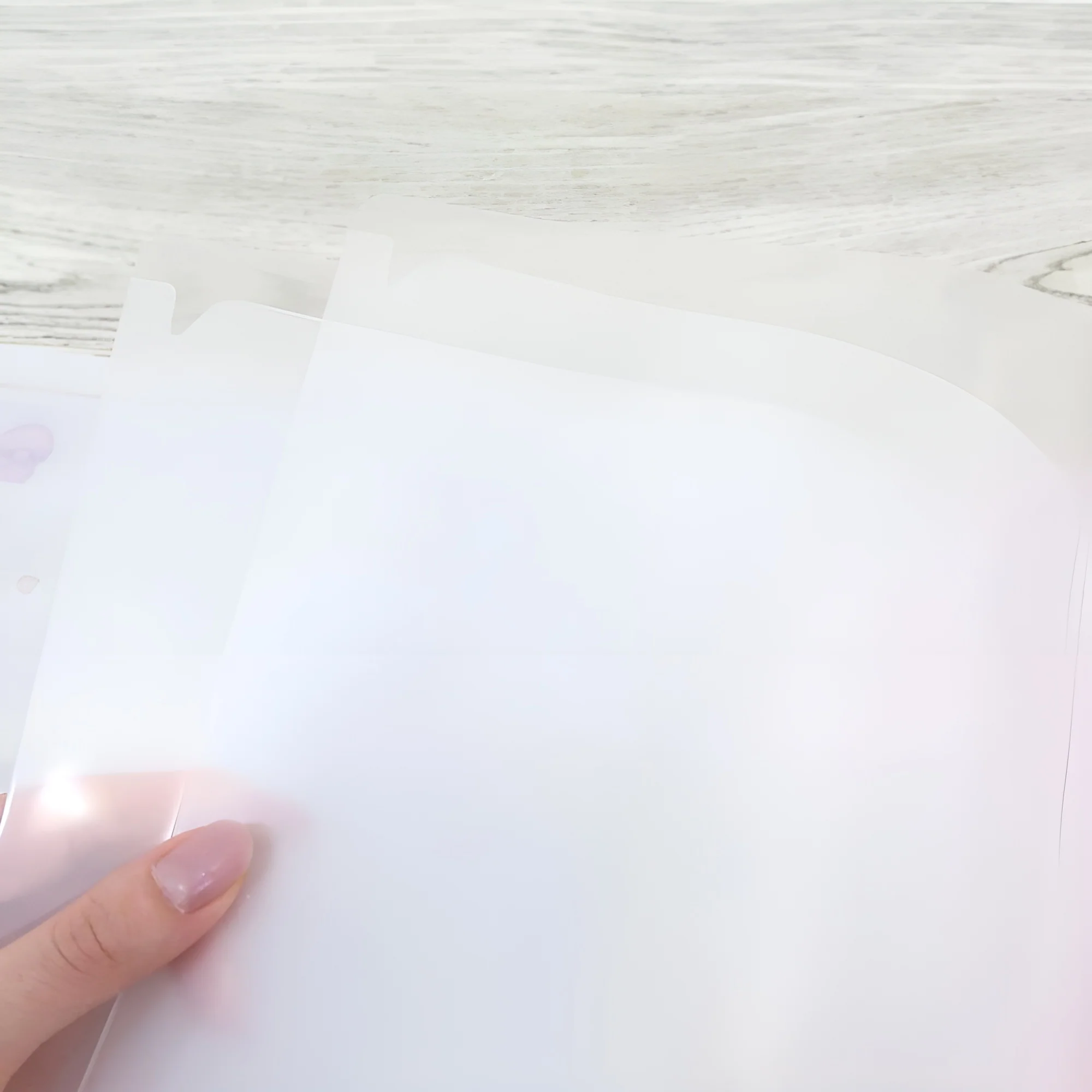 Sanrio Characters A4 Clear Book