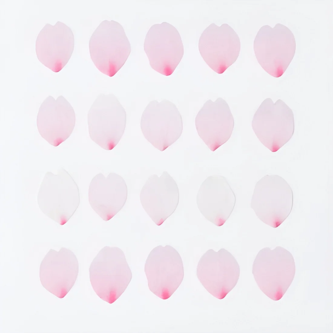 Bande Washi Tape Sticker Roll Petal Set