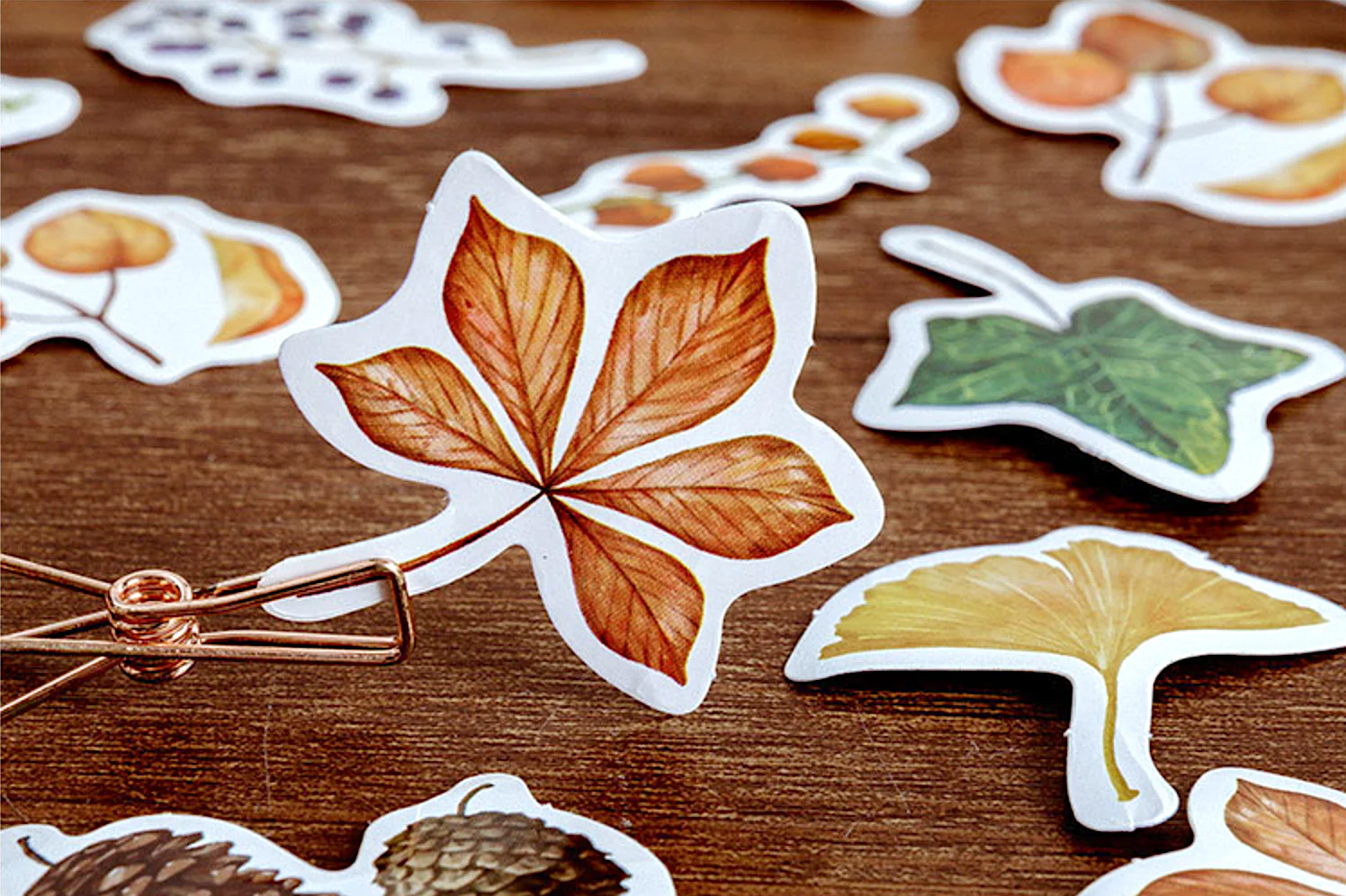 Forest Plants Paper Stickers