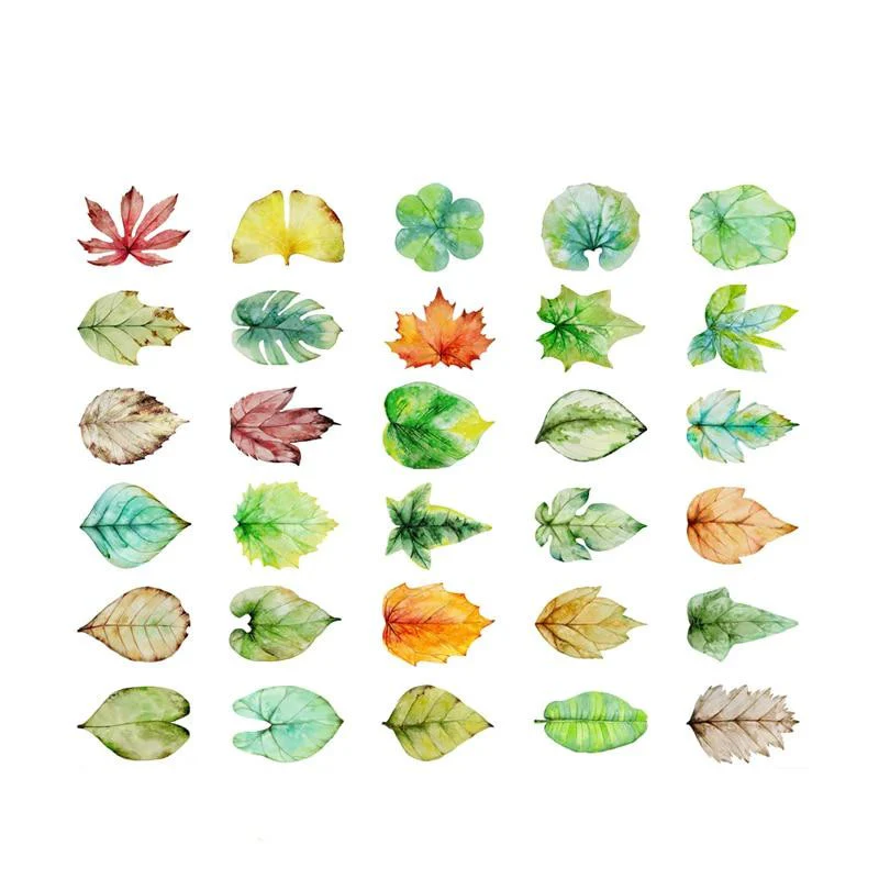Leaf Design Greeting Cards Set of 30