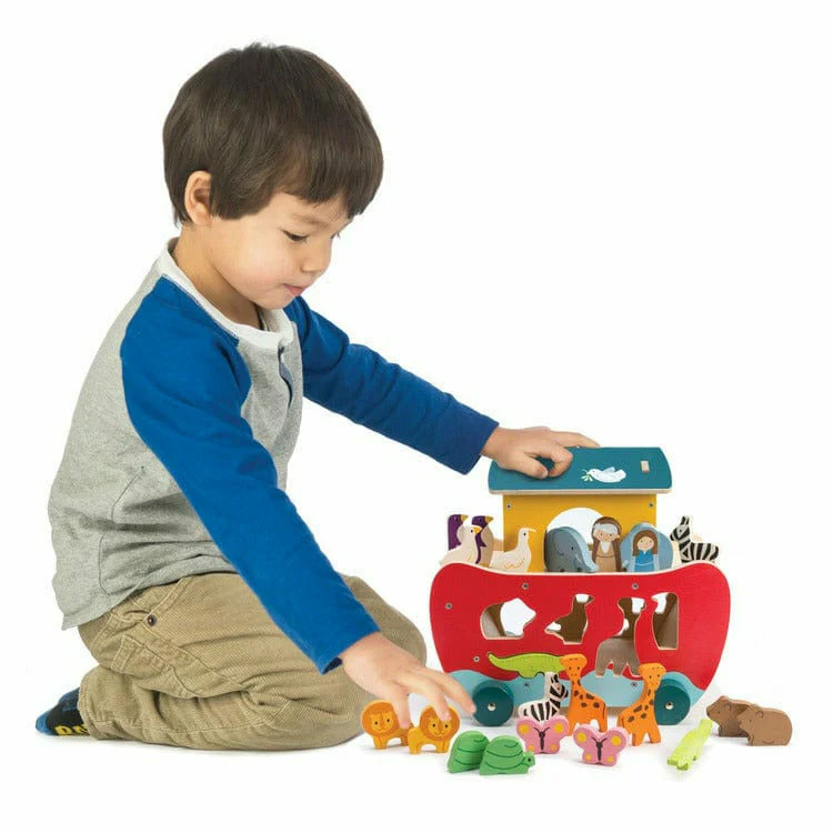 Noah's Shape Sorter Ark