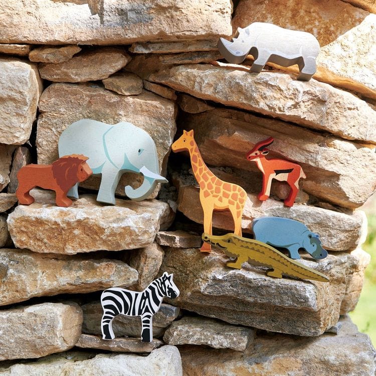 Wooden Animal Display Set