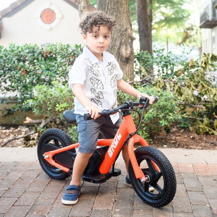 Ebike D12 (12 Inch) Red