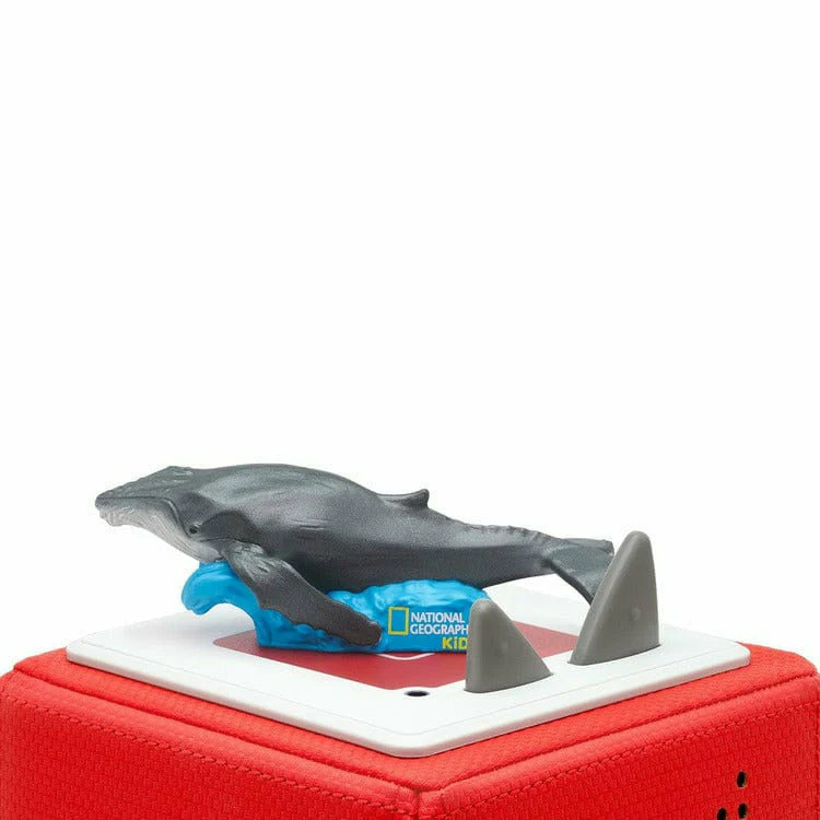 Whale Learning Figurine