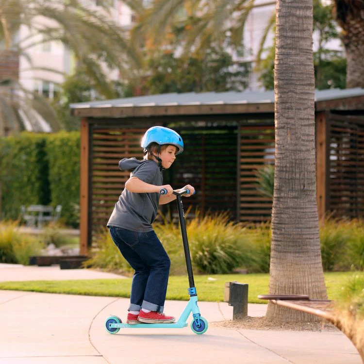 Chilli Critter Scooter