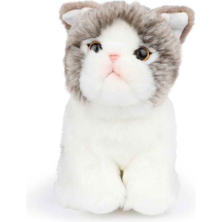 Plush Cat in Giftbox 6.5\