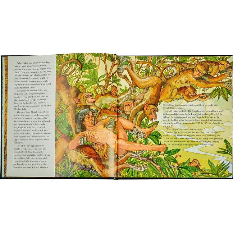 Jungle Adventure Book