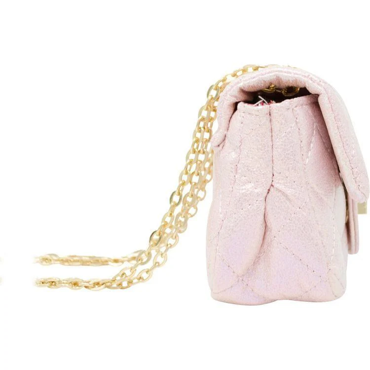 Stylish Sparkle Bag