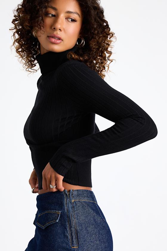 Perfected Comfort Black Turtleneck Sweater Top