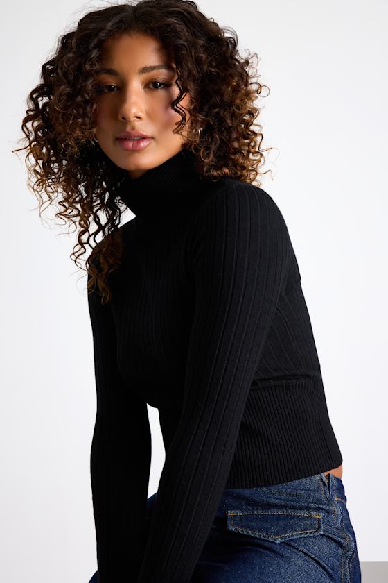 Perfected Comfort Black Turtleneck Sweater Top