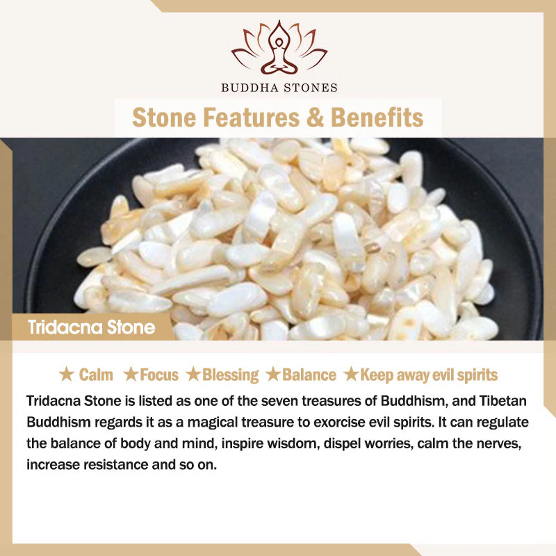 925 Sterling Silver Red Agate Tridacna Stone Butterfly Four Leaf Clover Calm Bracelet and Necklace Pendant Set