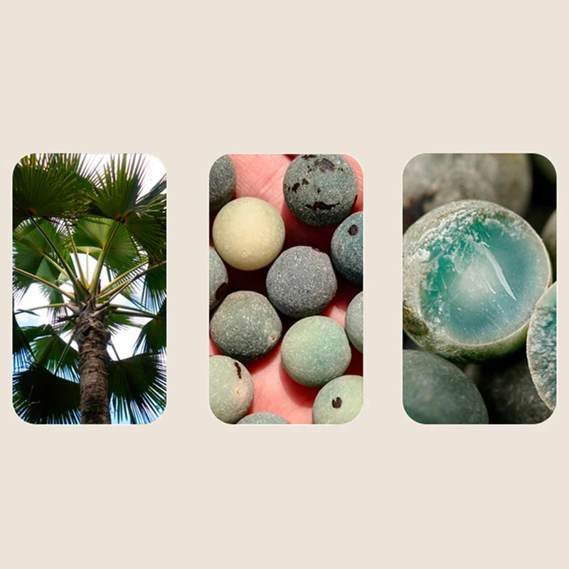 Renbeads 108 Beads Bodhi Seed Blessing Meditation Bracelet Mala