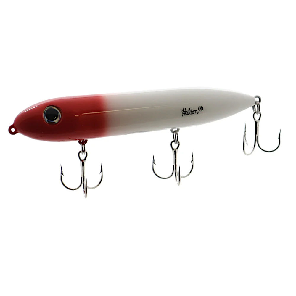 Heddon Super Spook Saltwater