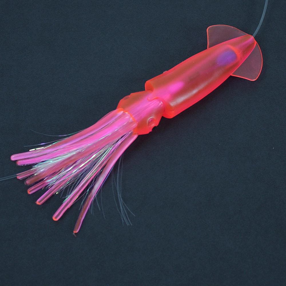 Flash-Banger Daisy Chains | Epic Fishing