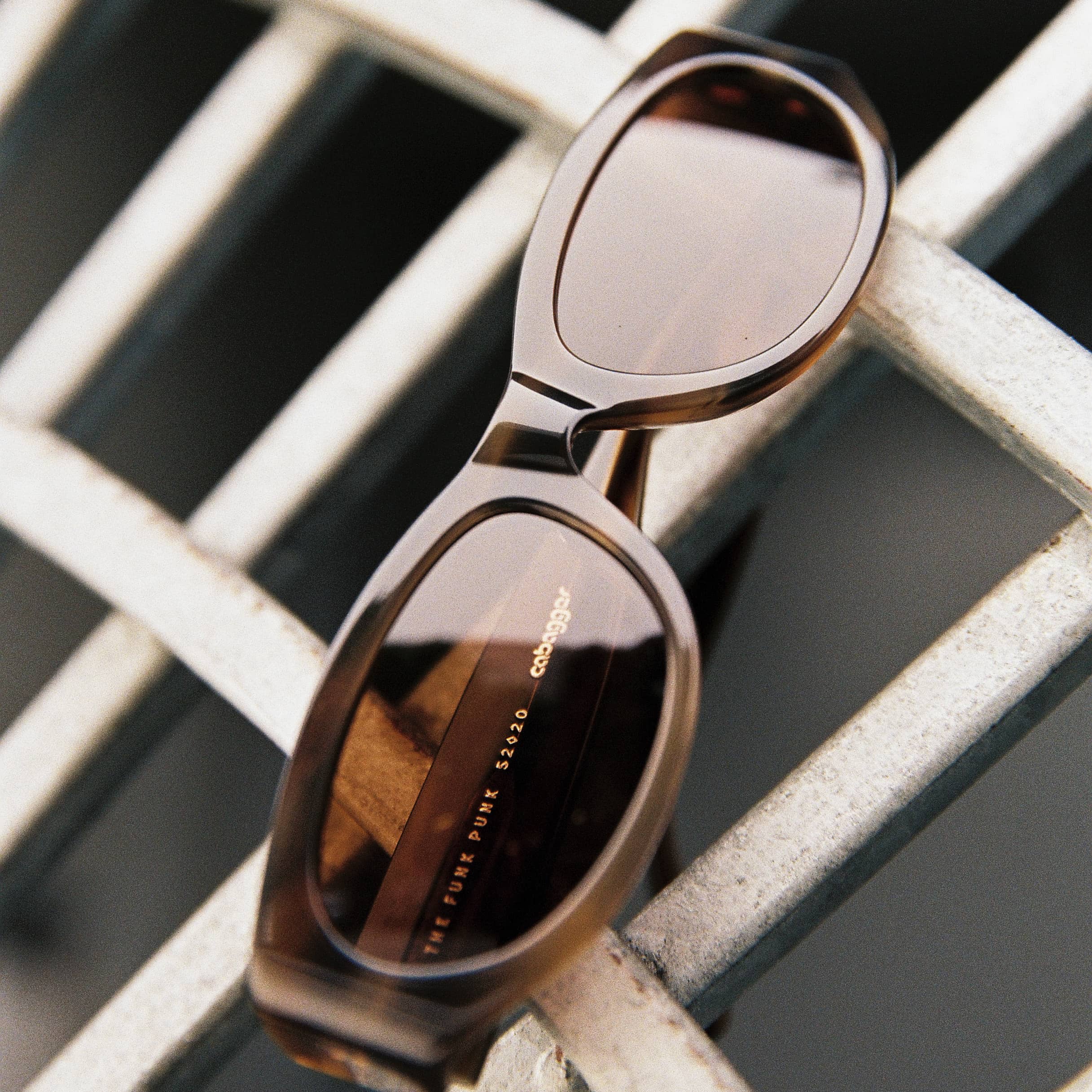 The Funk Punk - Cabagges Shiitake Bio