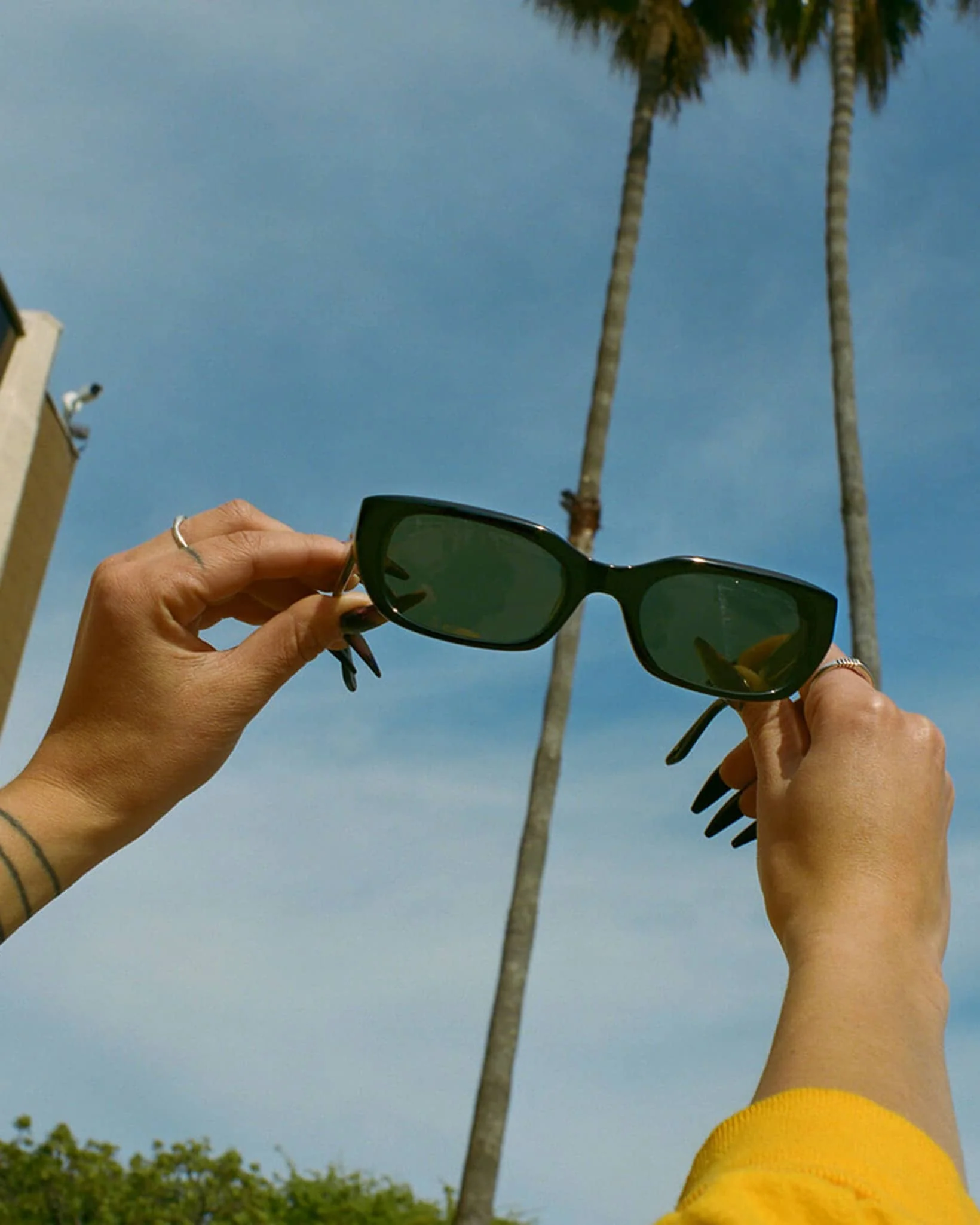 The Gothic Breeze - Black Bio Polarized